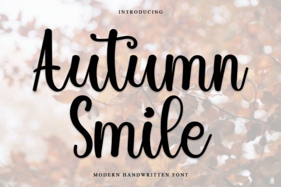 Autumn Smile Font for Business Style