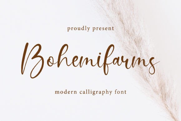 Bohemifarms: A Seductive Script Font