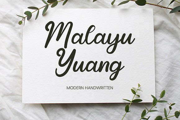 Malayu Yuang Font Review: Elegant Script for Branding