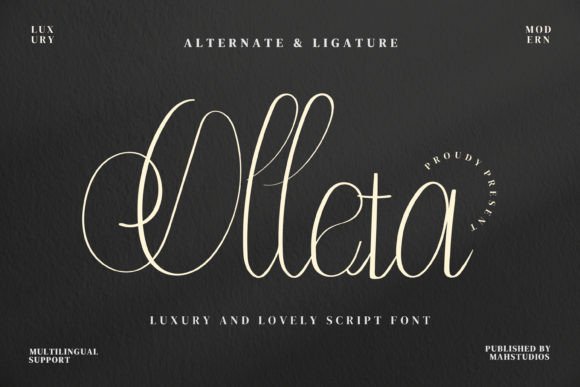 Olleta Font Review: Elevating Campaign Visuals with Style