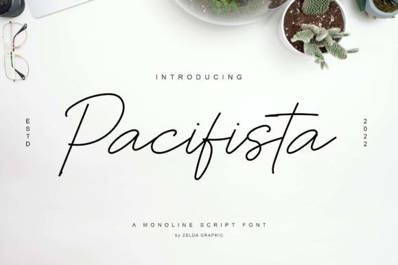 Pacifista: The Handwritten Font That Elevates Campaign Visuals