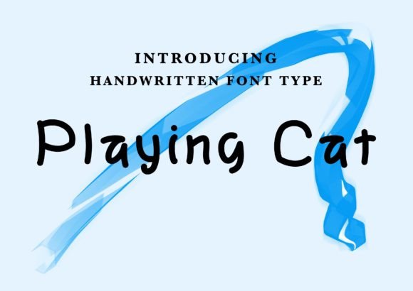 Playing Cat Review